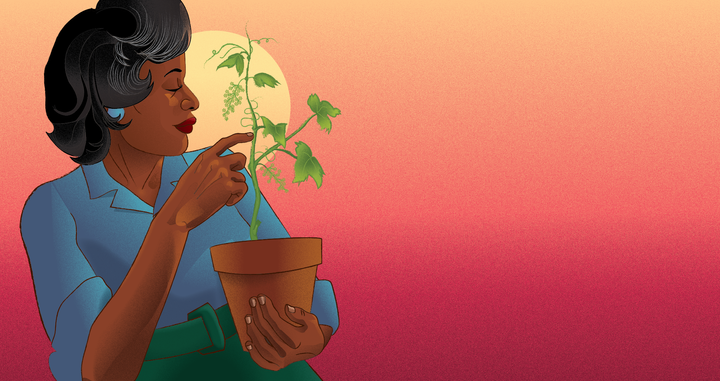 A Raisin in the Sun