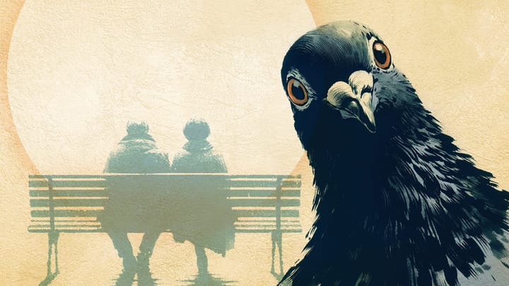 the aves