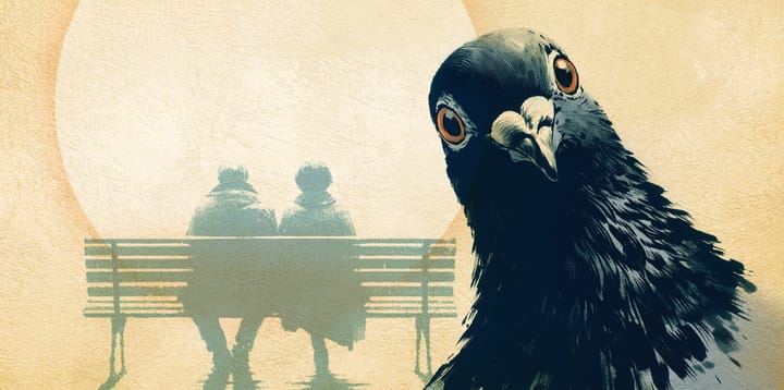 the aves