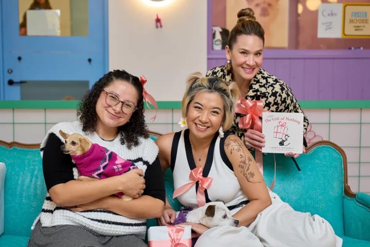 Three women smile at the camera holding puppies.